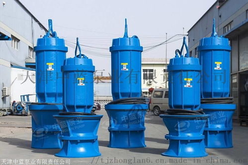 潛水貫流泵 河道灌溉斜坡專(zhuān)用設(shè)計(jì)與臥式全貫流泵的應(yīng)用